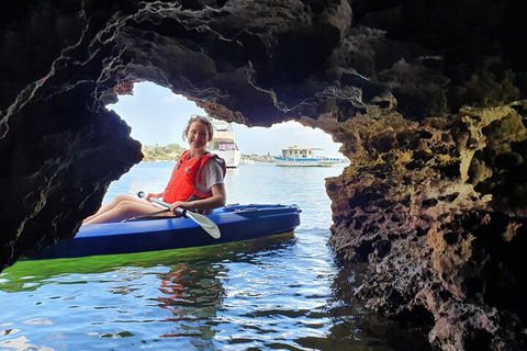 Cliffs And Caves Kayak Tour In Swan River - Tourism Cairns 1