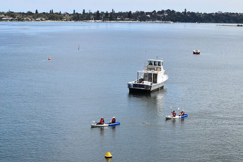 Cliffs And Caves Kayak Tour In Swan River - Tourism Cairns 2