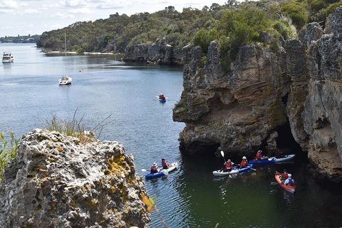 Cliffs And Caves Kayak Tour In Swan River - Tourism Cairns 5