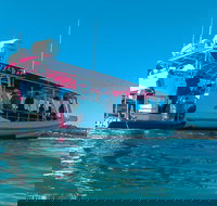 Best of Moreton Bay Cruise - Tourism Cairns