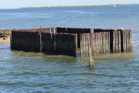 Best Of Moreton Bay Cruise - Tourism Cairns 1