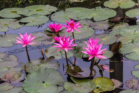 Kakadu, Nourlangie And Yellow Waters Tour From Darwin - Tourism Cairns 1