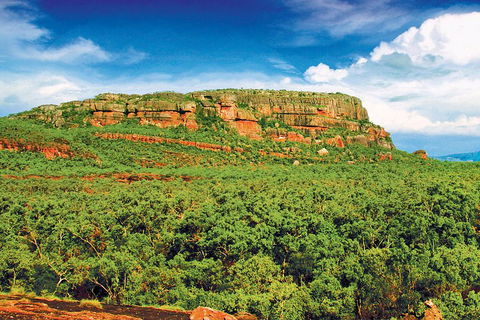 Kakadu, Nourlangie And Yellow Waters Tour From Darwin - Tourism Cairns 3