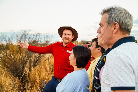 Uluru (Ayers Rock) Sunset With Outback Barbecue Dinner And Star Tour - Tourism Cairns 3