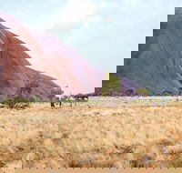 Uluru Sunrise and Guided Base Walk - Tourism Cairns
