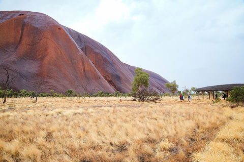 Uluru Sunrise And Guided Base Walk - Tourism Cairns 0