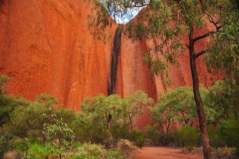 Uluru Sunrise And Guided Base Walk - Tourism Cairns 3
