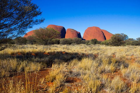 Kata Tjuta Sunrise And Valley Of The Winds Half-Day Trip - Tourism Cairns 1