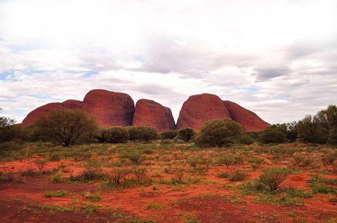 Ayers Rock Combo: Uluru Base And Sunset Plus Uluru Sunrise And Kata Tjuta With An Optional BBQ Dinner Or Kings Canyon Day Trip - Tourism Cairns 1