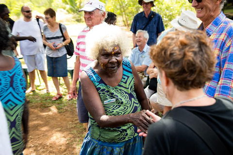 Tiwi Islands Cultural Experience From Darwin Including Ferry - Tourism Cairns 0