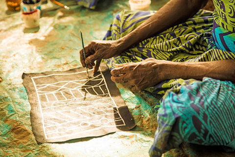 Tiwi Islands Cultural Experience From Darwin Including Ferry - Tourism Cairns 1