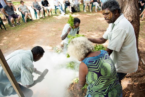 Tiwi Islands Cultural Experience From Darwin Including Ferry - Tourism Cairns 4