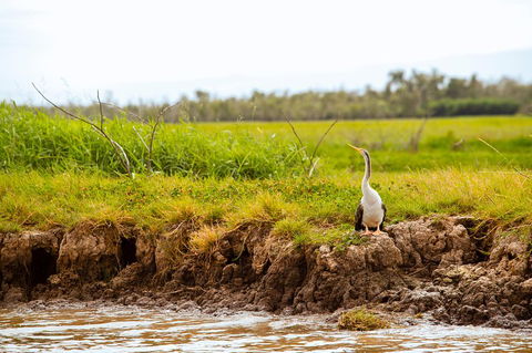 Darwin City Sights And Jumping Crocodile Cruise - Tourism Cairns 2