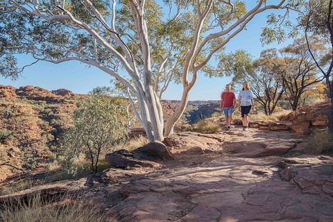3-Day Tour From Uluru (Ayers Rock) To Alice Springs Via Kings Canyon - Tourism Cairns 1