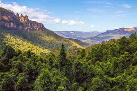 Blue Mountains Nature And Wildlife Day Tour From Sydney - Tourism Cairns 1