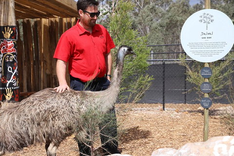 Blue Mountains Nature And Wildlife Day Tour From Sydney - Tourism Cairns 5