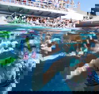 Great Barrier Reef Day Cruise from Cairns Including Snorkeling and Marine Biologist Presentation - Tourism Cairns