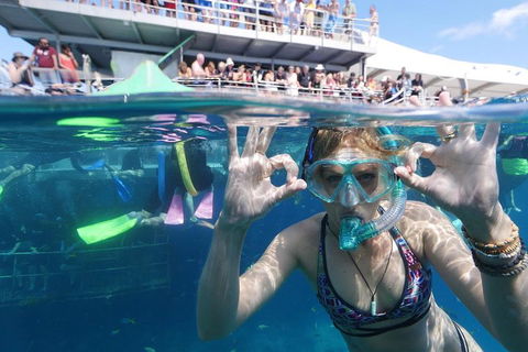 Great Barrier Reef Day Cruise From Cairns Including Snorkeling And Marine Biologist Presentation - Tourism Cairns 0