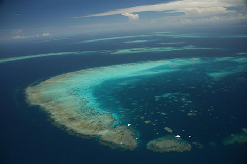 Great Barrier Reef Day Cruise From Cairns Including Snorkeling And Marine Biologist Presentation - Tourism Cairns 1