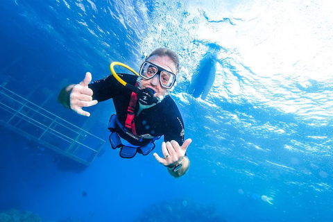 Great Barrier Reef Day Cruise From Cairns Including Snorkeling And Marine Biologist Presentation - Tourism Cairns 3