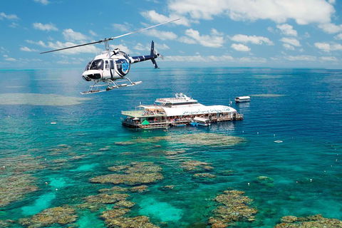 Great Barrier Reef Day Cruise From Cairns Including Snorkeling And Marine Biologist Presentation - Tourism Cairns 5
