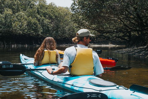Kayak Tour In Adelaide Dolphin Sanctuary - Tourism Cairns 2