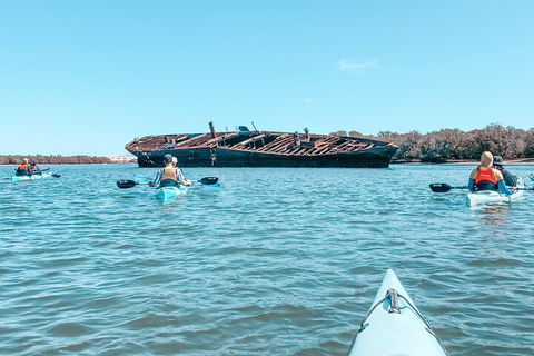 Kayak Tour In Adelaide Dolphin Sanctuary - Tourism Cairns 3