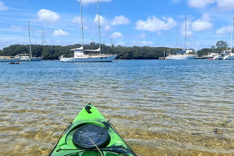 Kayak Tour In Adelaide Dolphin Sanctuary - Tourism Cairns 4