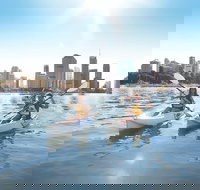 Brisbane Kayak Tour - Tourism Cairns