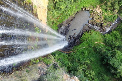 Natural Bridge & Springbrook Waterfalls Tour + Hot Air Balloon With Breakfast - Tourism Cairns 1