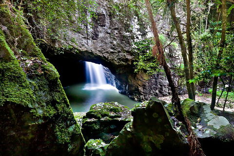 Natural Bridge & Springbrook Waterfalls Tour + Hot Air Balloon With Breakfast - Tourism Cairns 4