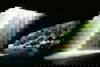 Book Viator Accommodation Vacations Tourism Cairns Tourism Cairns