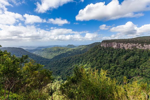 Natural Bridge & Springbrook Waterfalls Tour - Tourism Cairns 1