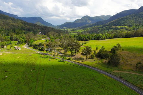 Natural Bridge & Springbrook Waterfalls Tour - Tourism Cairns 2