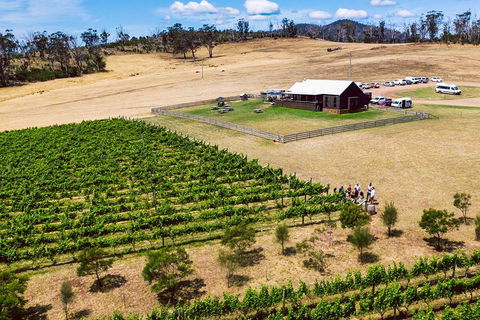 Tasmanian Wine Tour - Tourism Cairns 3