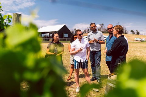 Tasmanian Wine Tour - Tourism Cairns 5