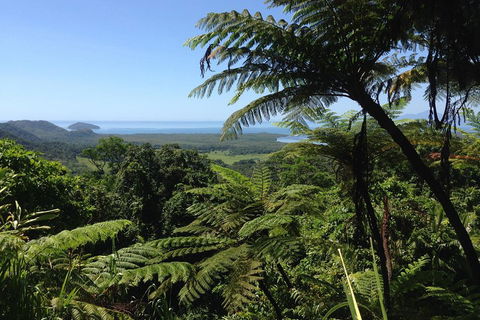 Daintree And Cape Tribulation Full Day Guided Tour - Tourism Cairns 2