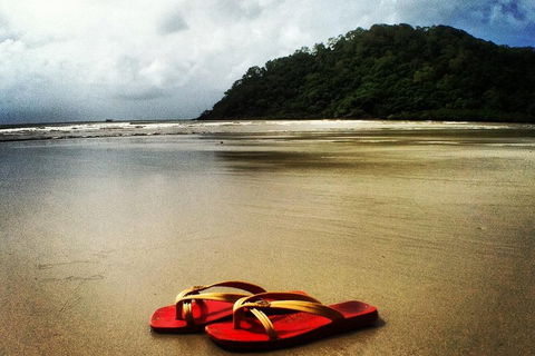Daintree And Cape Tribulation Full Day Guided Tour - Tourism Cairns 4