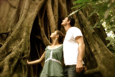 Daintree And Cape Tribulation Full Day Guided Tour - Tourism Cairns 5