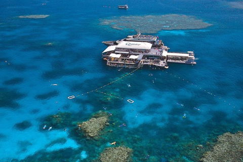 Quicksilver Outer Great Barrier Reef Snorkel Cruise From Palm Cove - Tourism Cairns 1