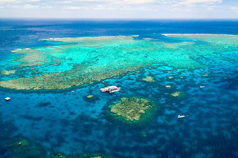 Quicksilver Outer Great Barrier Reef Snorkel Cruise From Palm Cove - Tourism Cairns 4