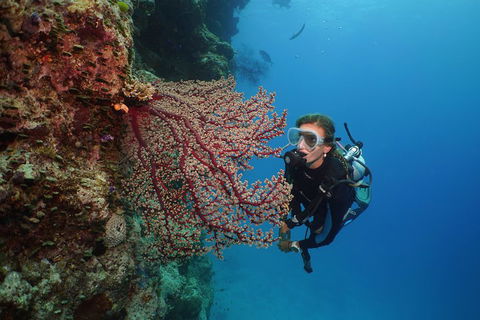 Silversonic Outer Great Barrier Reef Dive And Snorkel Cruise From Port Douglas - Tourism Cairns 0