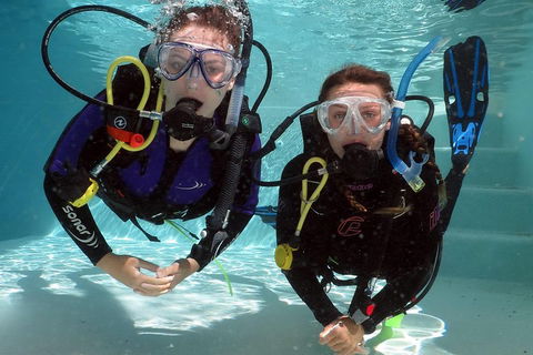 Quicksilver Dive 4 Day PADI Learn To Dive Course - Tourism Cairns 2