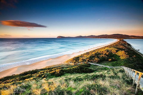 Bruny Island Private Charter Service - Tourism Cairns 0