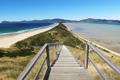 Bruny Island Private Charter Service - Tourism Cairns 4