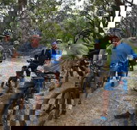 Fully guided E-Mountain Bike Tour on the beautiful Mornington Peninsula. - Tourism Cairns