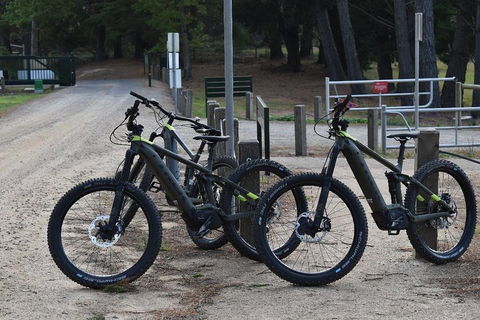 Fully Guided E-Mountain Bike Tour On The Beautiful Mornington Peninsula. - Tourism Cairns 2