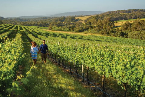 6 Days Perth All-Inclusive Touring Package With Wildflowers ( Seasonal) - Tourism Cairns 4