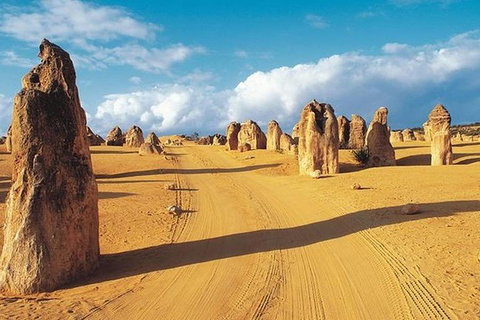 6 Days Perth All-Inclusive Touring Package With Wildflowers ( Seasonal) - Tourism Cairns 5