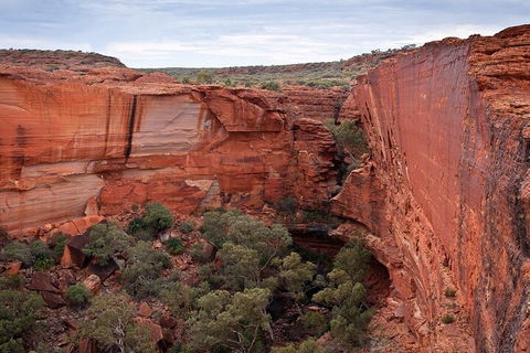 Uluru, Kata Tjuta And Kings Canyon Camping Safari From Ayers Rock - Tourism Cairns 1